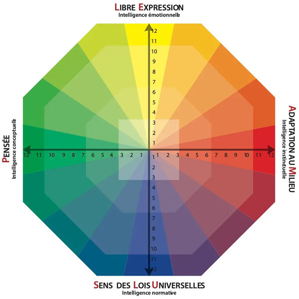 l’A2P (Analyse de la Personnalité Professionnelle)